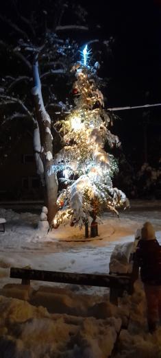 Rozsvícení stromku a vánoční výzdoba